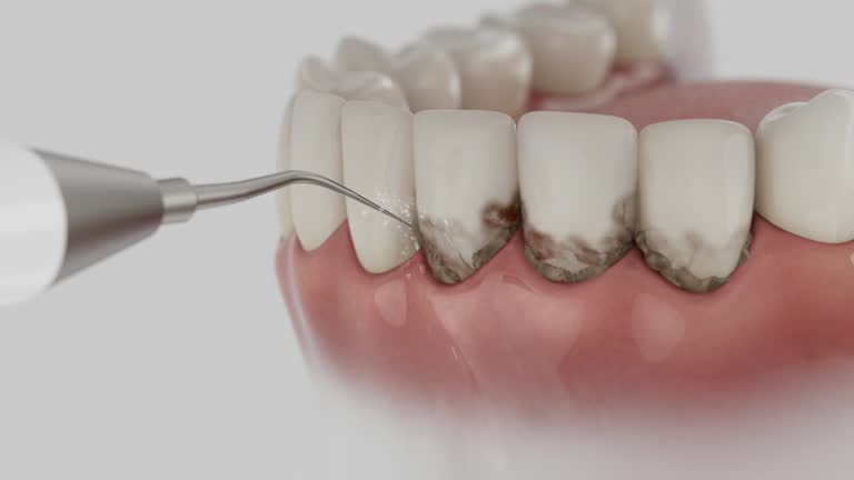 Reliable Dental contractor in Rollingwood, CA by Dentist Open Now